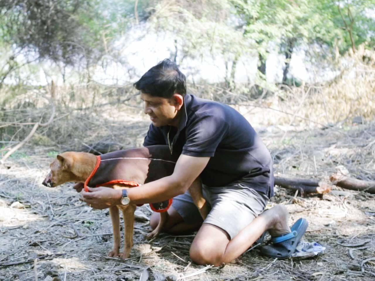 This Winter, Donate Dog Coats To House Of Stray Animals And Help Them