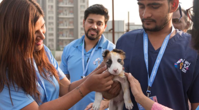 Help MH14 Animal Hospital to provide necessary treatment to the poor ...