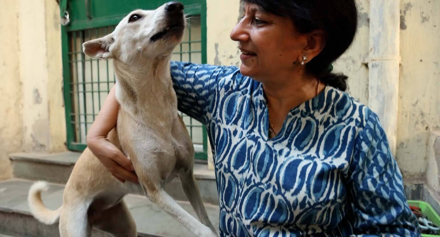 The Largest Animal Shelter In Noida Needs Your Help To Give A Home To Abandoned Animals DonateKart