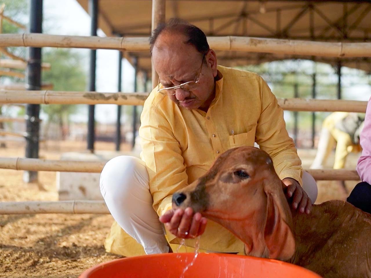 Save-gaumatas-in-Rajasthan-Cover