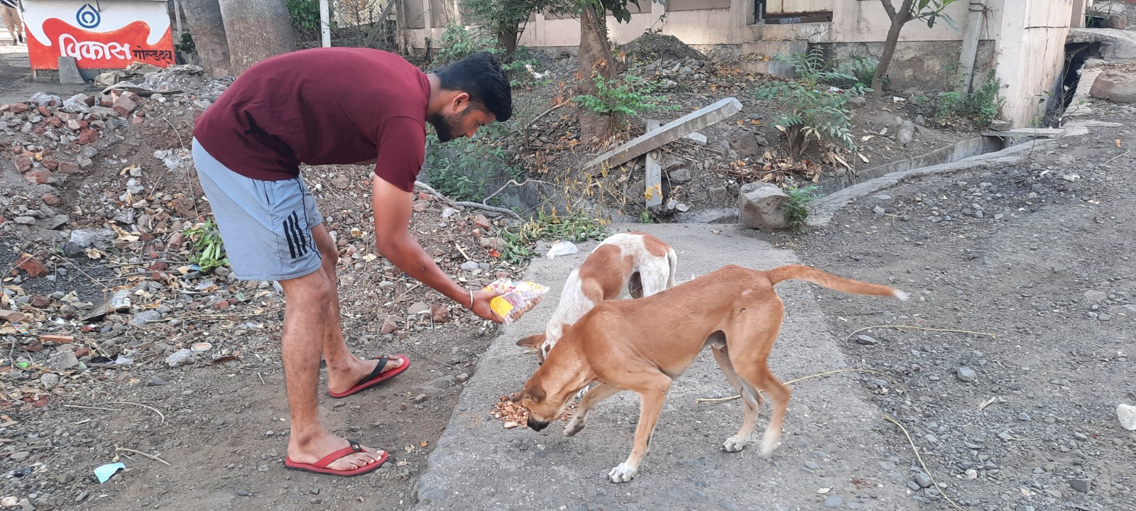 Nurturing Hope A Call to Contribute Dog Food and Support Nikhil Anpat