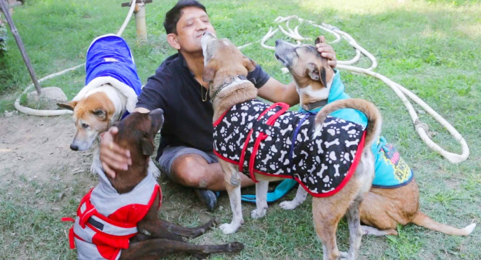 This Winter, Donate Dog Coats To House Of Stray Animals And Help Them